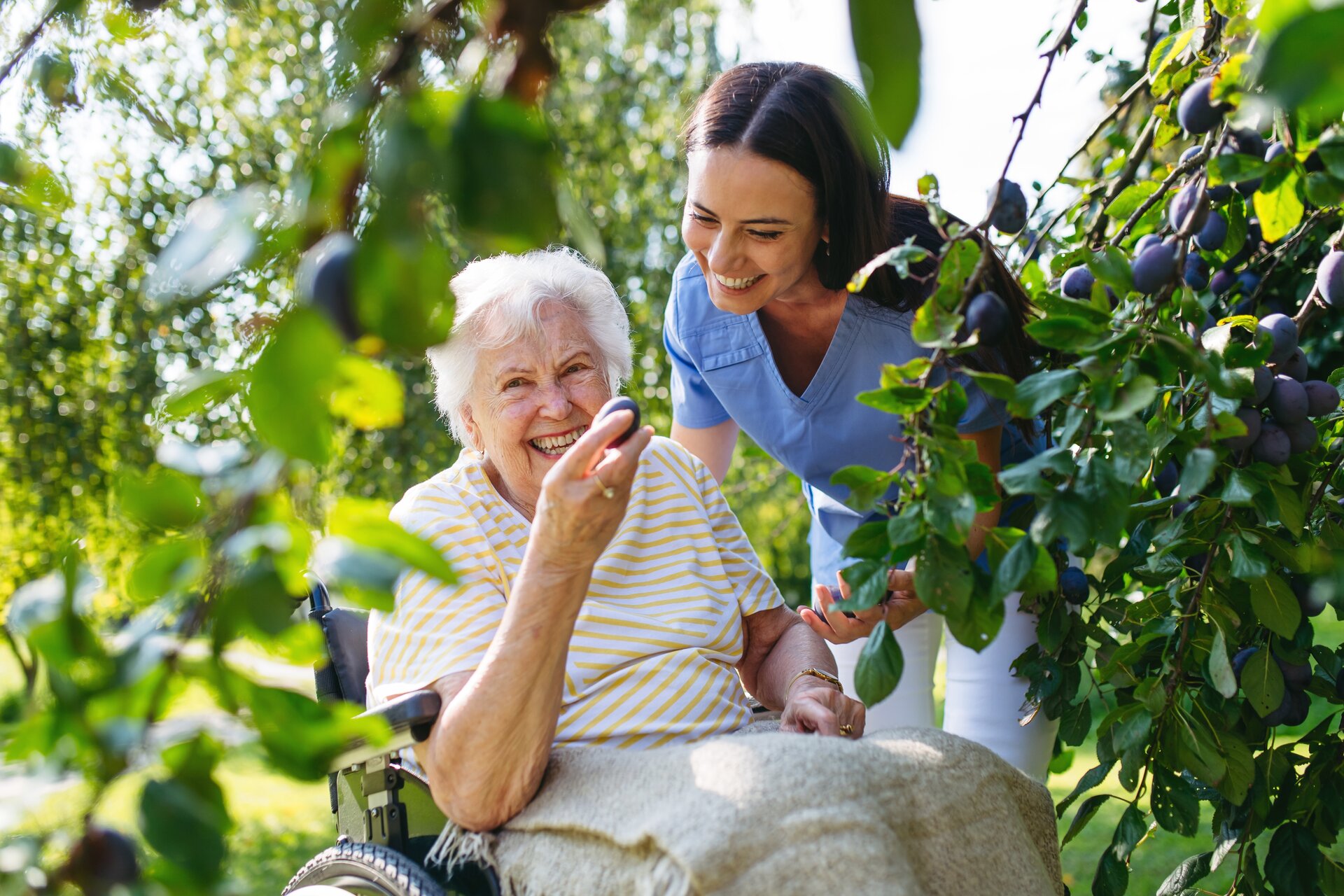 Caregiver and elderly woman in wheelchair enjoying time outdoors together